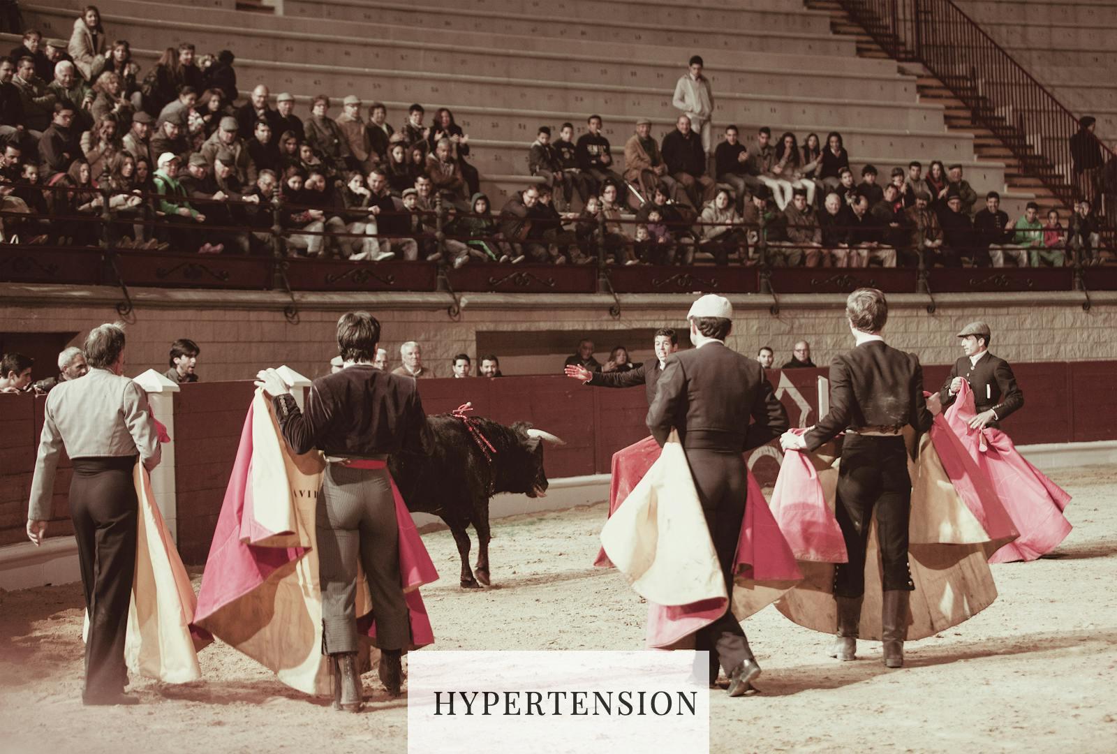 Bullfighters in a Bullring